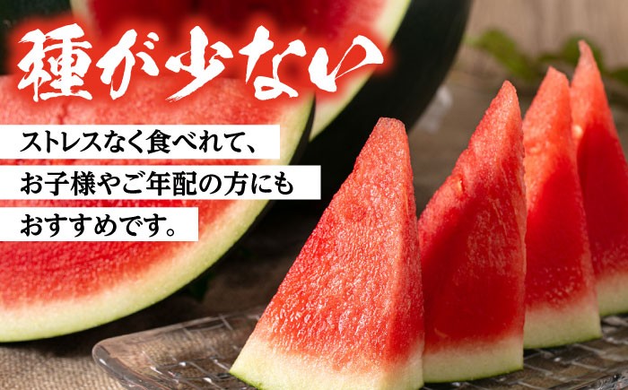 すいか スイカ 西瓜 尺玉スイカ 黒スイカ 果物 フールツ ブラックジャック