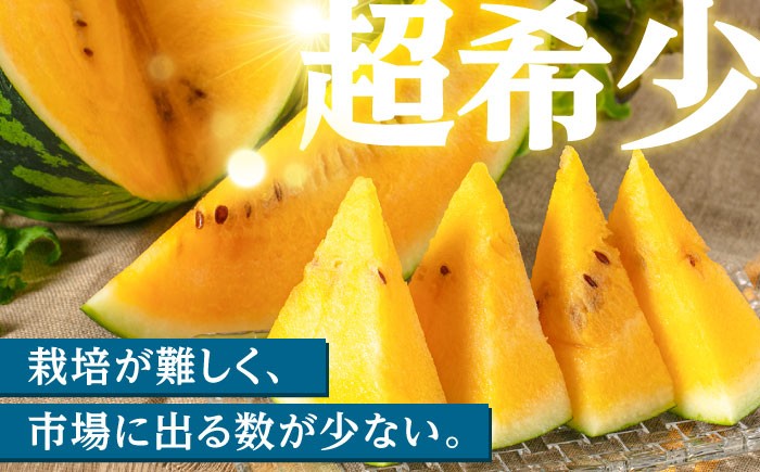 スイカ すいか 西瓜 JA 水分補給 夏バテ 熱中症対策 夏の果物 日田 フルーツ 果物 デザート 金色羅皇  黄色いスイカ 