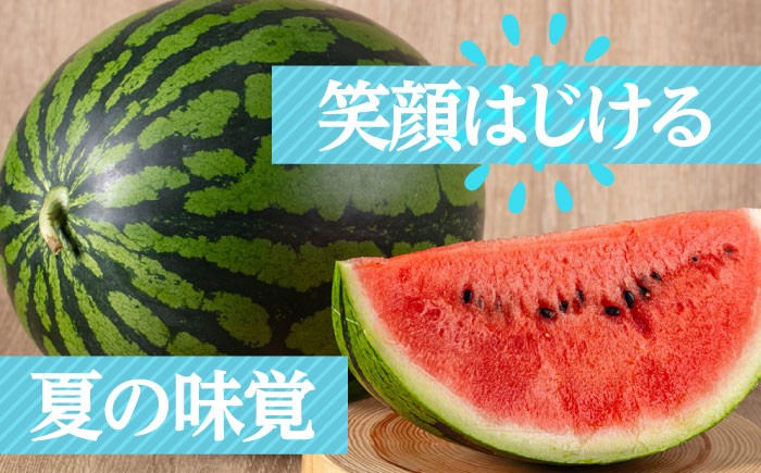 すいか スイカ 西瓜 尺玉スイカ くだもの 果物 糖度 羅皇ザスウィート 羅皇 産地直送 ギフト 贈り物 高級フルーツ 期間限定