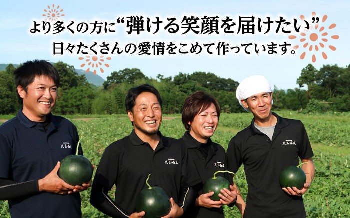 すいか スイカ 西瓜 尺玉スイカ 黒スイカ 果物 フールツ ブラックジャック