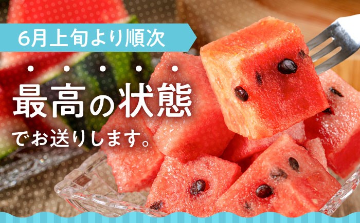 すいか スイカ 西瓜 尺玉スイカ くだもの 果物 糖度 羅皇ザスウィート 羅皇 産地直送 ギフト 贈り物 高級フルーツ 期間限定