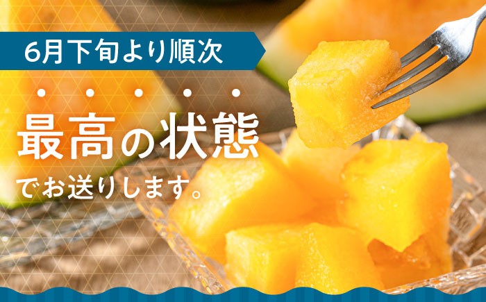 スイカ すいか 西瓜 JA 水分補給 夏バテ 熱中症対策 夏の果物 日田 フルーツ 果物 デザート 金色羅皇  黄色いスイカ 