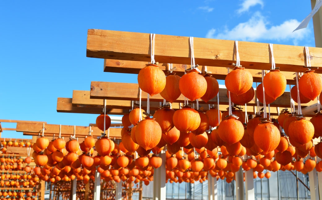 【 観光協会長賞受賞 】 岐阜特産 「 堂上蜂屋柿 」 3個