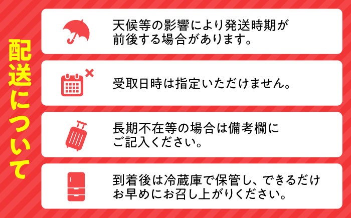 すいか スイカ 西瓜 尺玉スイカ くだもの 果物 糖度 羅皇ザスウィート 羅皇 産地直送 ギフト 贈り物 高級フルーツ 期間限定