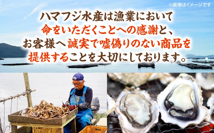 牡蠣 岩ガキ 約3kg（約15個～25個）便利なナイフ・軍手付き♪  ＜ハマフジ水産＞