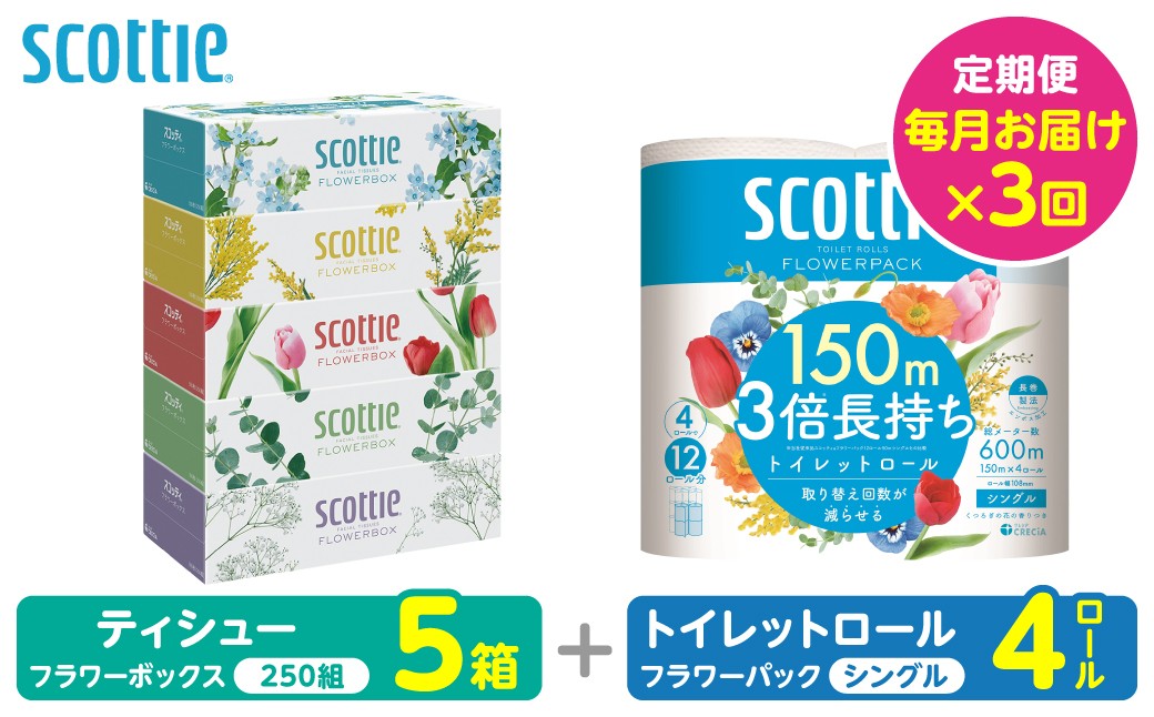 【定期便3回】【スコッティ】ティシュー フラワーボックス 5箱＋トイレットロール シングル フラワーパック 3倍長持ち 4ロール