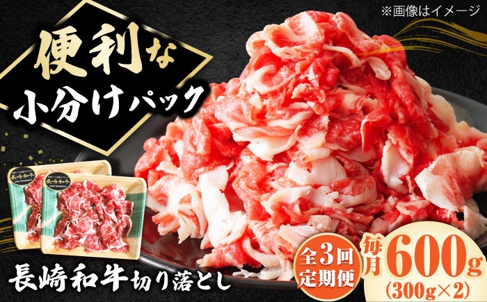 長崎和牛 切り落とし 600g（300g×2） 