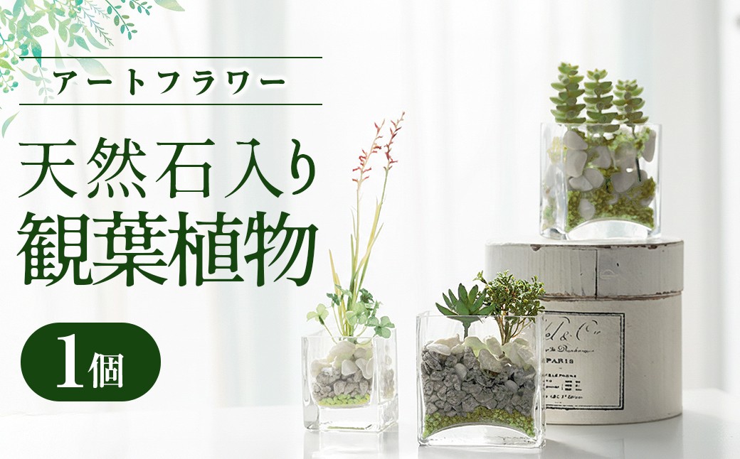 お部屋のアクセントにぴったり。