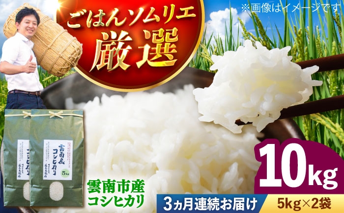 米 定期便 令和7年産 R7年産 コシヒカリ 島根 雲南