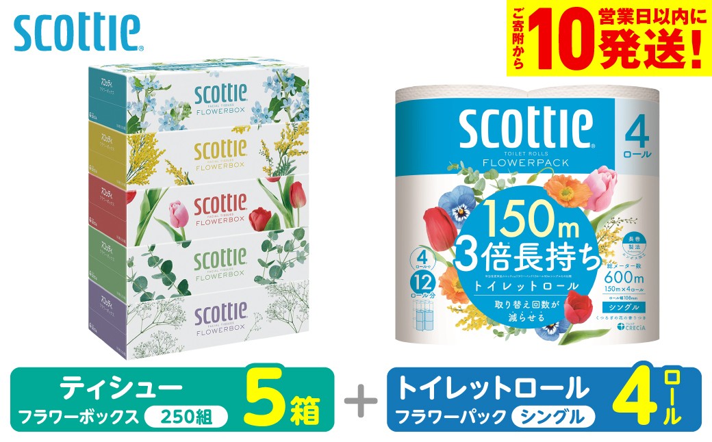 【スコッティ】ティシュー フラワーボックス 5箱＋トイレットロール シングル フラワーパック 3倍長持ち 4ロール