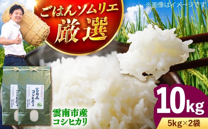 米 10kg 令和7年産 R7年産 コシヒカリ 島根 雲南