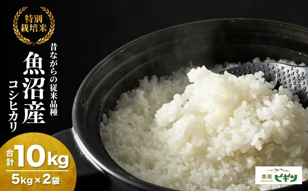 モチモチ食感と優しい甘み！ご飯だけで主役級の美味しさの希少原種コシヒカリ