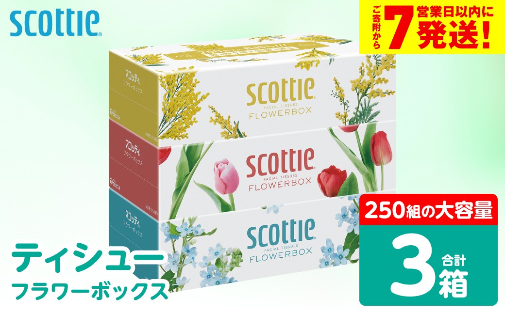 【スコッティ】ティシュー フラワーボックス 250組 3箱パック×1セット 合計3箱