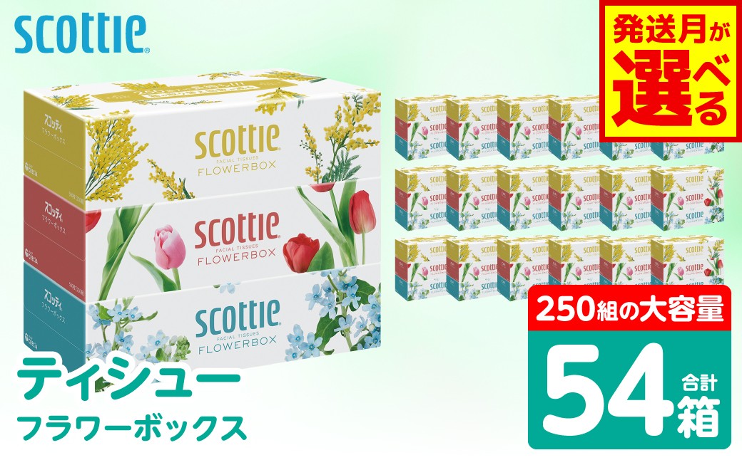 【スコッティ】 ティシュー フラワーボックス 250組 3箱パック×18 合計54箱