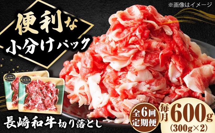 長崎和牛 切り落とし 600g（300g×2） 