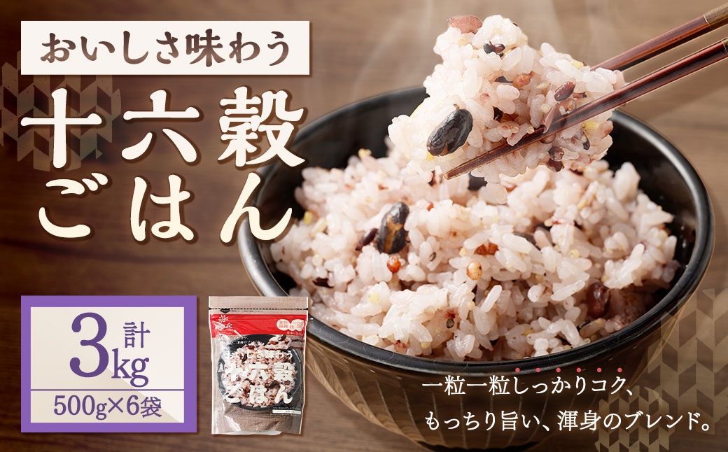 十六穀ごはん500g×6袋