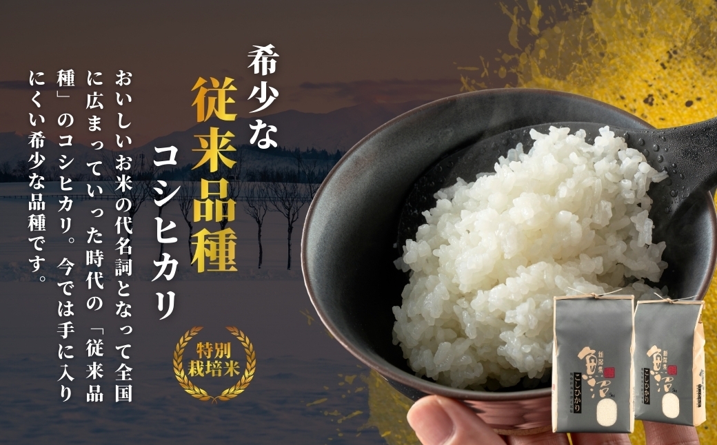 【お米の定期便】希少原種コシヒカリ モチモチ食感と優しい甘みが主役級の美味しさ