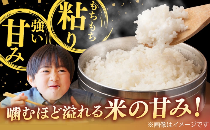 米 2kg 令和7年産 R7年産 コシヒカリ 島根 雲南