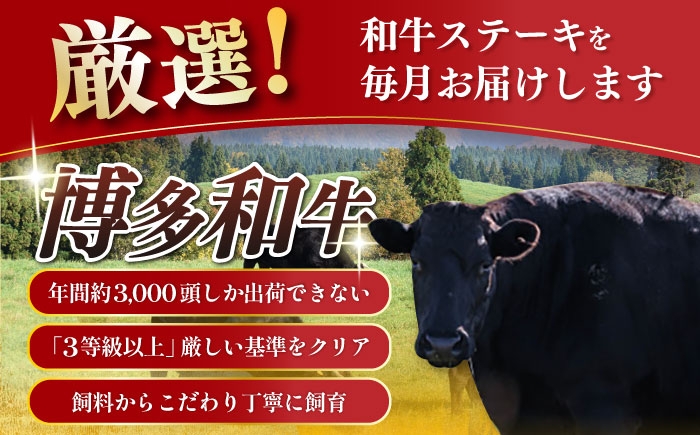 サーロイン ステーキ 肉 牛肉 高級 ヒレ フィレ シャトーブリアン