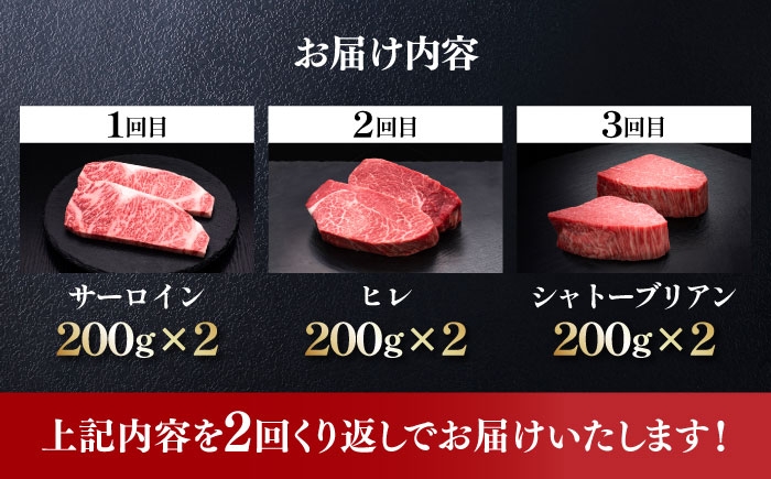 サーロイン ステーキ 肉 牛肉 高級 ヒレ フィレ シャトーブリアン
