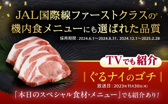 豚肉 ぶたにく ステーキ すてーき ロース ろーす ロースステーキ ろーすすてーき テキカツ