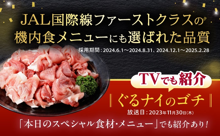 諫美豚 豚肉 切り落とし 肉 豚 お肉 国産 人気 スライス