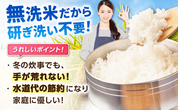 特A獲得！さがびより 無洗米 6kg（3kg×2袋） | ご飯 ごはん 米 お米