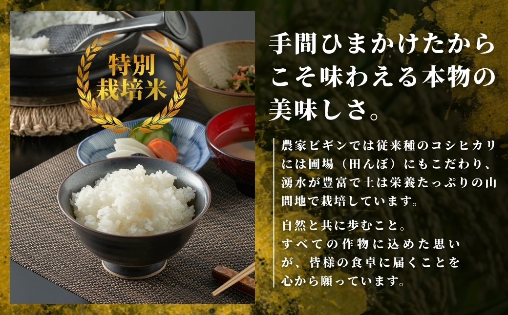 【お米の定期便】希少原種コシヒカリ モチモチ食感と優しい甘みが主役級の美味しさ