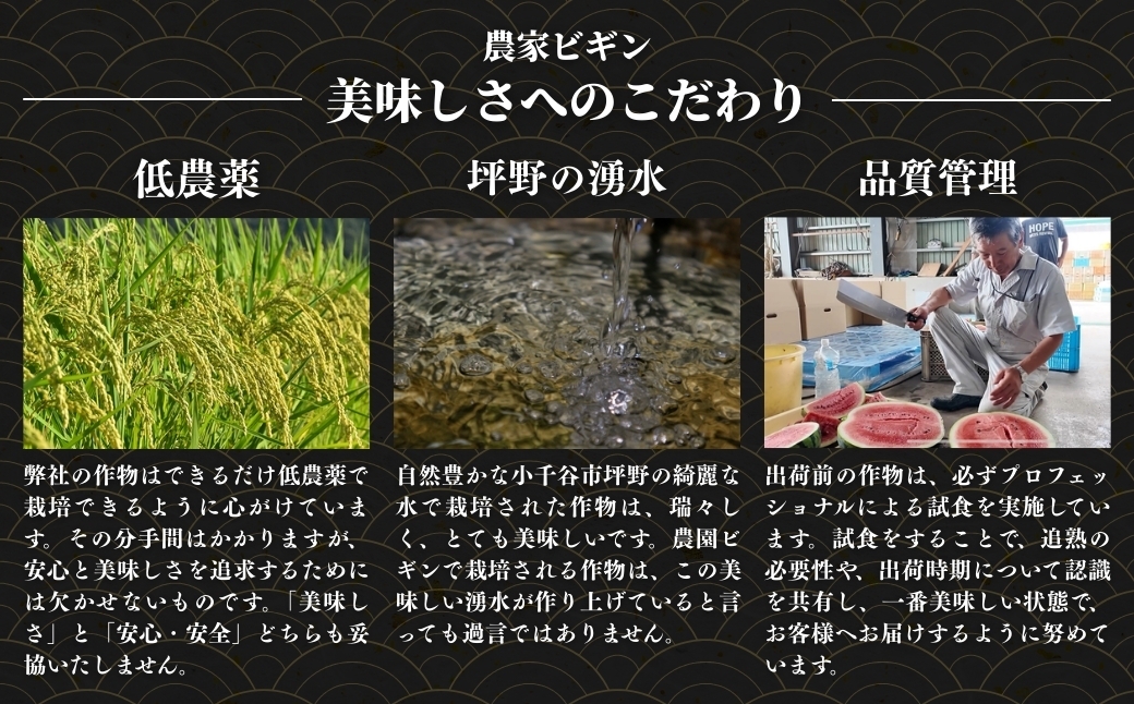 モチモチ食感と優しい甘み！ご飯だけで主役級の美味しさの希少原種コシヒカリ