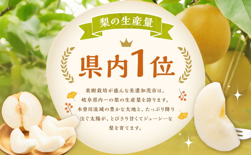 福果園の樹上完熟梨 農家直送品種おまかせ（3kg程度）
