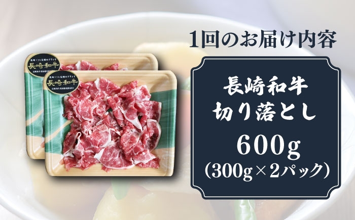 長崎和牛 切り落とし 600g（300g×2） 