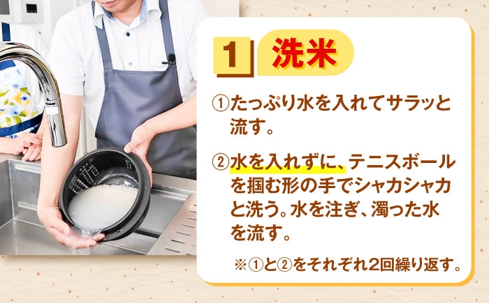 米 10kg 令和7年産 R7年産 コシヒカリ 島根 雲南