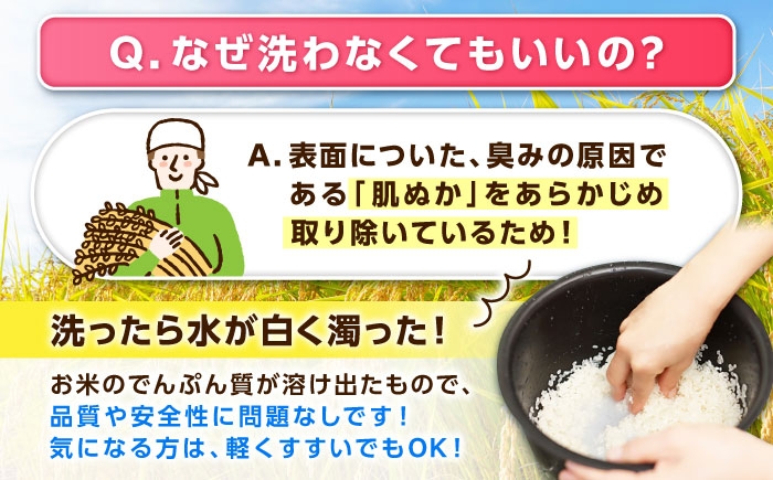 さがびより 無洗米 9kg おこめ ごはん 米 お米 白米 こめ コメ ブランド米 精米 国産 お米 むせんまい
