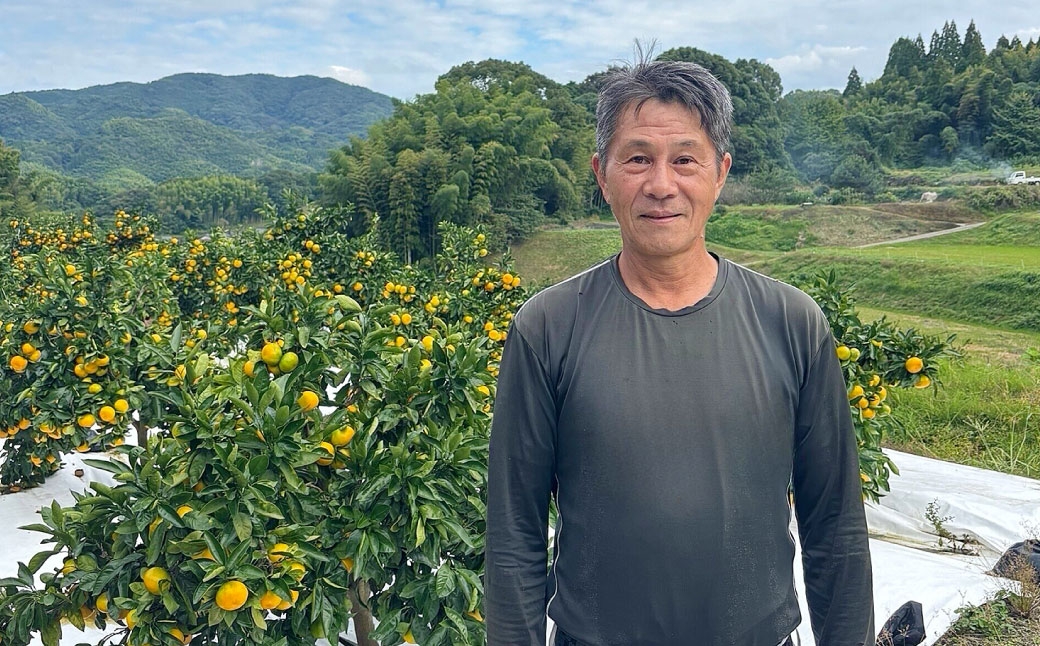 A334 かけたかなドレッシング＆みかんどれっしんぐ 各190ml×1本セット（計2本）