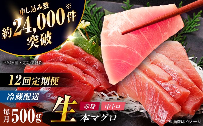 若松瀬戸で育てられた上五島生本マグロの赤身と中トロです。取り上げから2分以内に内臓血抜きをし、新鮮な状態で食卓にとどきます。