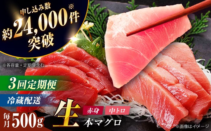 上五島生本マグロの赤身と中トロです。一度も冷凍していない、本物のとろける、脂がのったマグロを是非ご堪能ください。