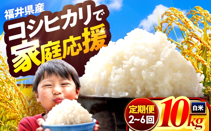 コシヒカリ 米 国産 福井県産 令和7年産 精米 白米 10キロ ブランド米 ご飯 ごはん おいしい 美味しい 大容量 仕送り