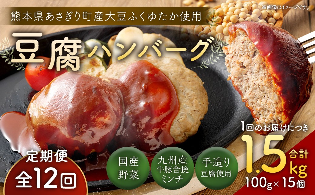 【定期便12回】豆腐ハンバーグセット 100g×15個入 豆腐ハンバーグ