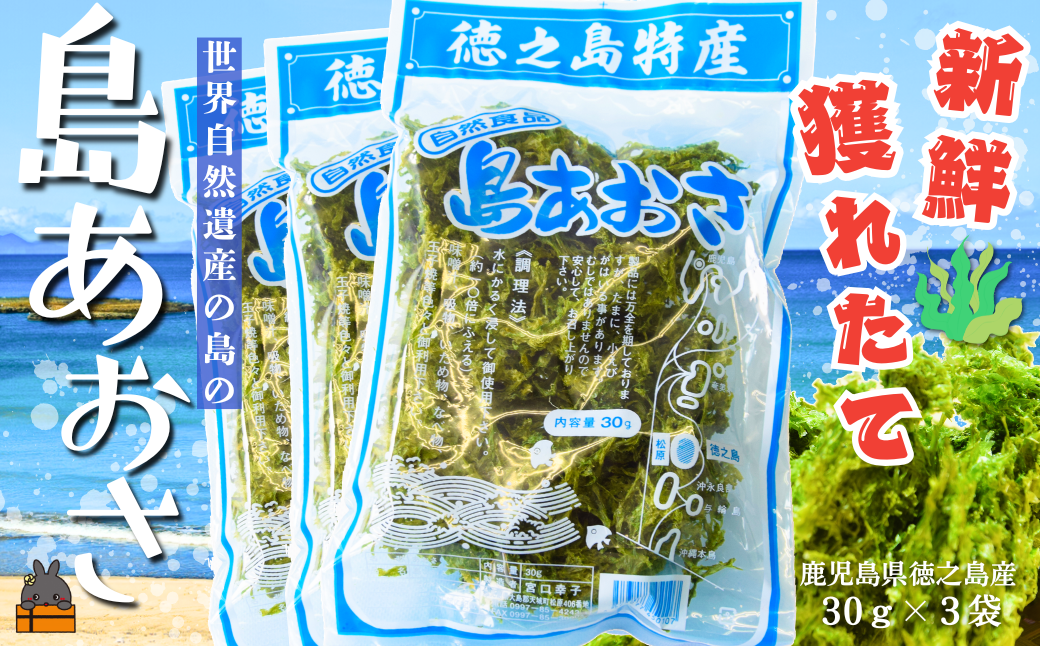 収穫したばかりの新鮮な徳之島産あおさです！