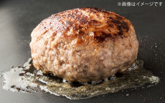 ハンバーグ あぐー豚ハンバーグ 個包装 沖縄産 あぐー豚 ハンバーグ はんばーぐ 国産 豚 はんばーぐ 冷凍 ギフト お取り寄せ
