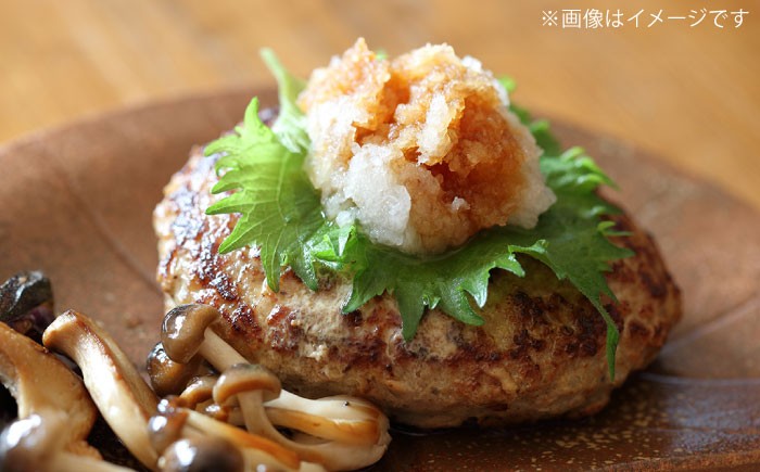 ハンバーグ あぐー豚ハンバーグ 個包装 沖縄産 あぐー豚 ハンバーグ はんばーぐ 国産 豚 はんばーぐ 冷凍 ギフト お取り寄せ