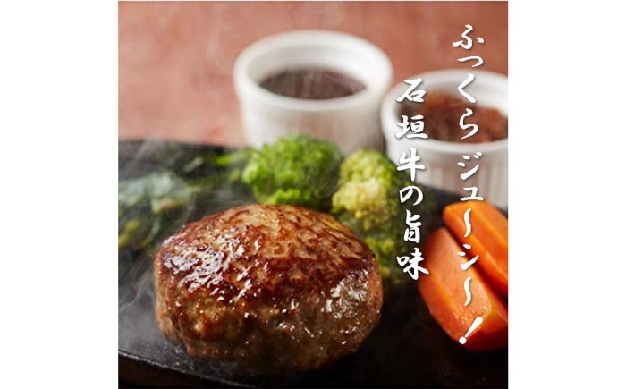 ハンバーグ  はんばーぐ 個包装 沖縄県産 石垣牛 国産 牛 ハンバーグ はんばーぐ 石垣牛ハンバーグ 冷凍 ギフト お取り寄せ