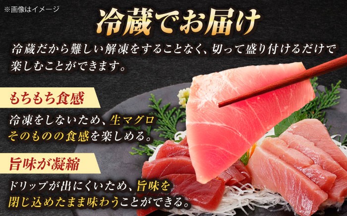 【全6回定期便】五島列島産 養殖 生本かみマグロ 赤身 中トロ 計約500g / まぐろ 鮪 刺身 ブロック