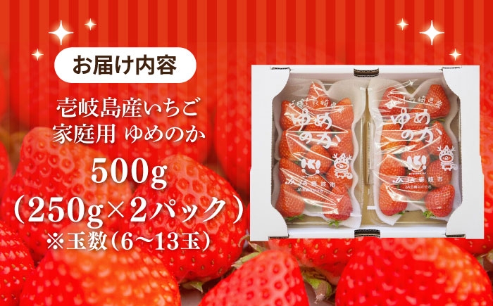 セット いちご イチゴ 苺 果物 フルーツ スムージー
