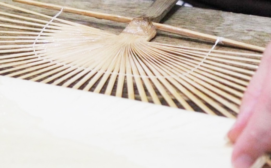 来民うちわ 肥後六花 肥後山茶花