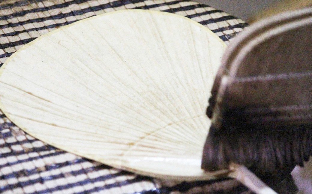 来民うちわ 肥後六花 肥後花菖蒲