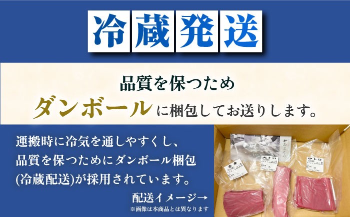 【全12回定期便】五島列島産 養殖 生本かみマグロ 赤身 中トロ 計約500g / まぐろ 鮪 刺身 ブロック
