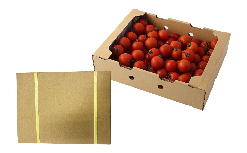 【 7月～11月発送不可 】 ミディトマト はなひめ 3kg 中玉 トマト 福岡県産