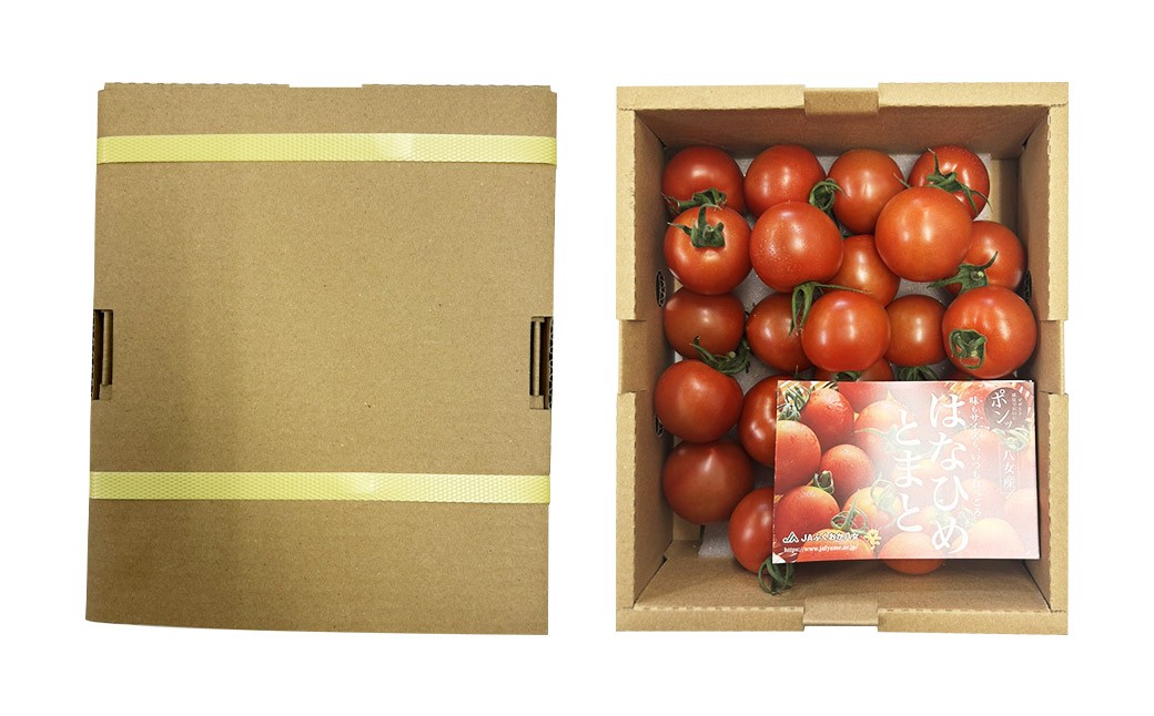 ミディトマト はなひめ 2kg