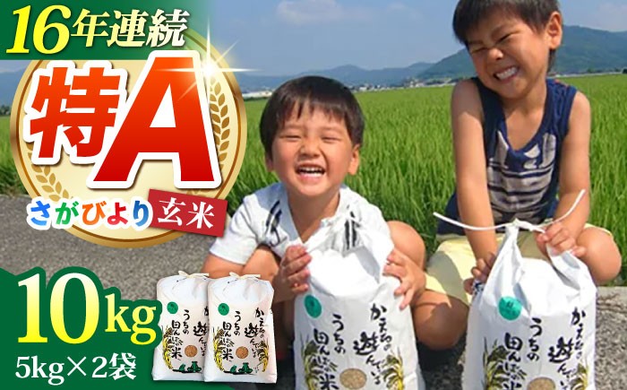 さがびより 玄米 10kg ( 5kg×2袋 ) 【ひなたむらのお米】 [HAC003]米 佐賀 佐賀県産 特A評価 玄米